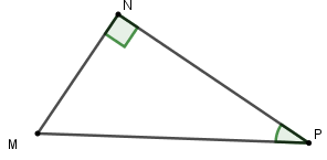 Cho tam giác MNP vuông tại N. Hệ thức nào sau đây là đúng A. NP = MP. sin P B. NP = MN. cot P (ảnh 1)