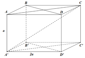 Cho hình hộp chữ nhật ABCD.A'B'C'D' có AB=AA'=a (ảnh 1)