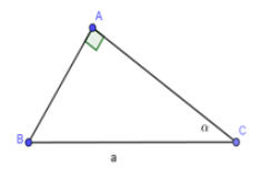 Cho tam giác ABC vuông tại A; BC = a không đổi, góc C= anpha( 0 độ < anpha < 90 độ) (ảnh 1)