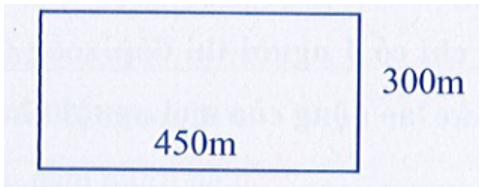 Một khu rừng hình chữ nhật có kích thước như hình vẽ. Diện tích khu rừng đó là: (ảnh 1)
