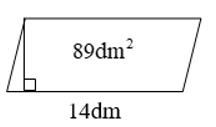 Tính chiều cao của hình bình hành sau: (ảnh 1)