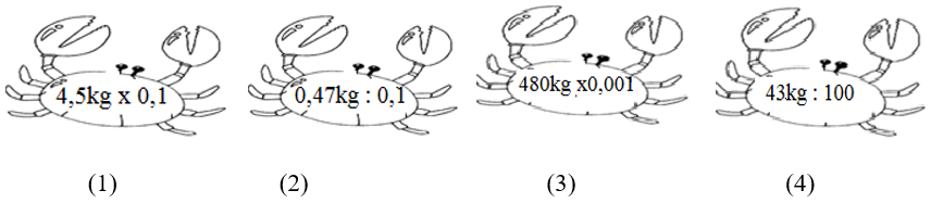 Chú cua biển nào nhẹ nhất     (ảnh 1)