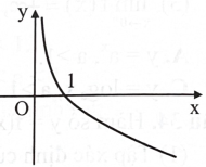 Hình bên là đồ thị hàm số nào?   	 (ảnh 1)