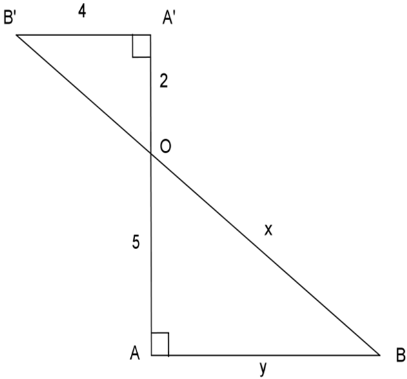 Tính các độ dài x, y trong hình bên: A. x = 2 căn 5, y = 10  B. x= 10 căn 5, y=9 (ảnh 1)