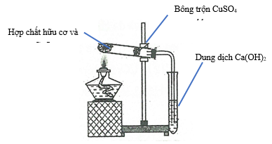 Hình ảnh