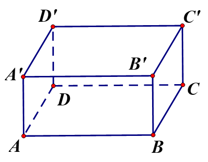 Hình ảnh